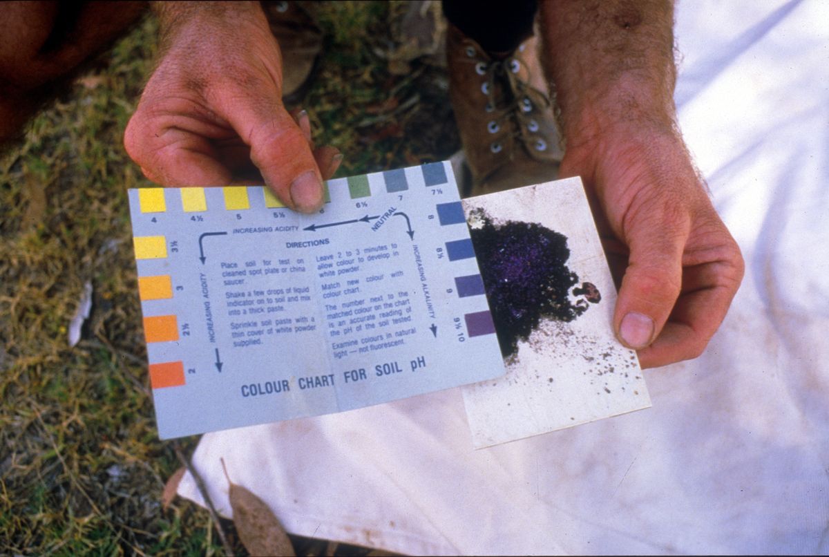 2. Understanding Soil Requirements