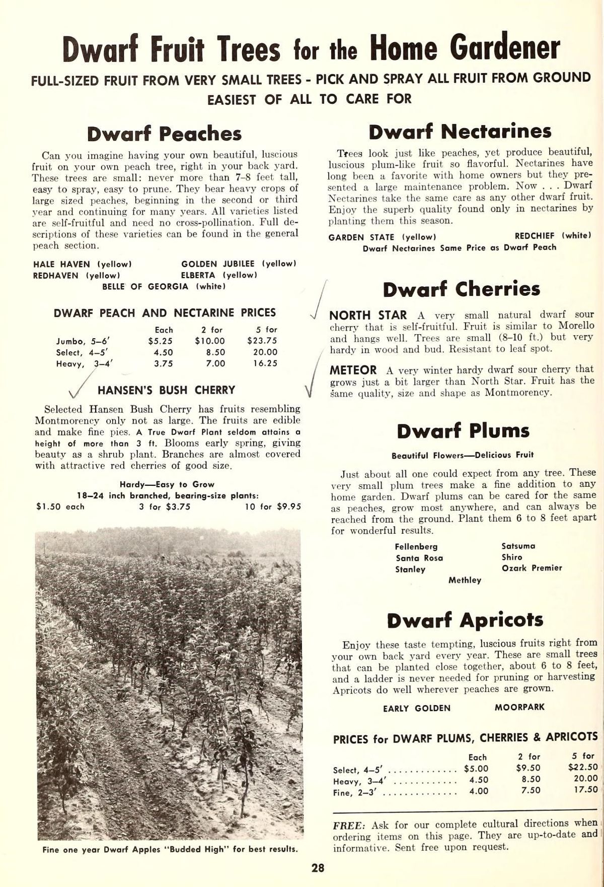 4. Timing Your Planting