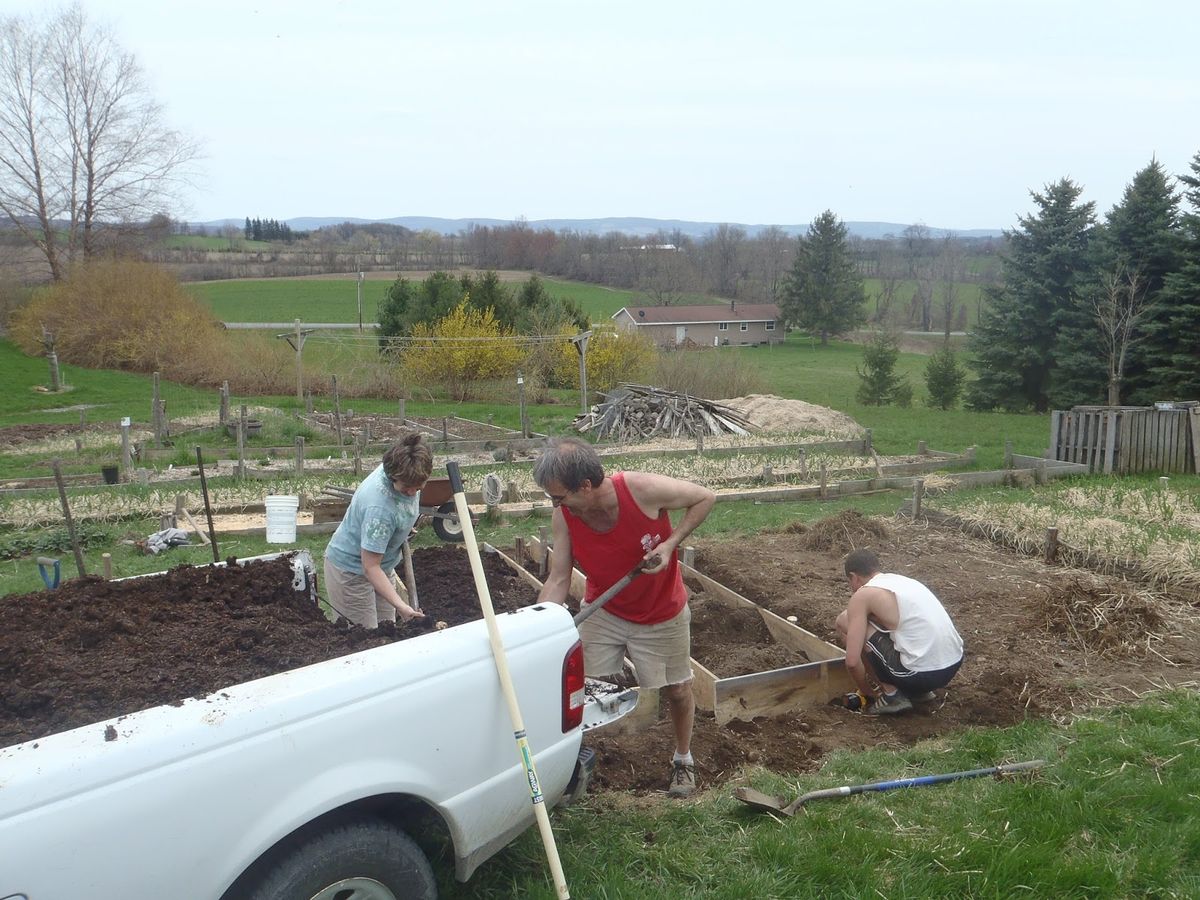 1. Soil Preparation to Plant Garlic: Tips for a Thriving Garden