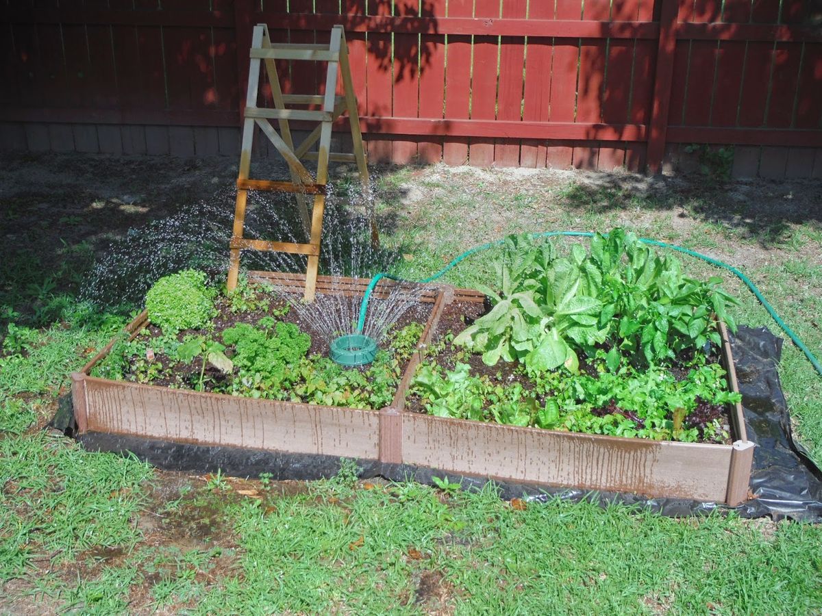 2. Raised Bed Cultivation
