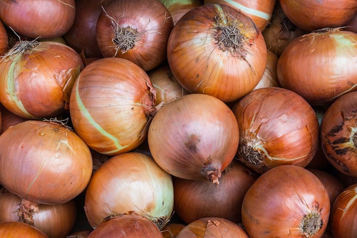 1. Tips Regional Variety Selection to Raise a Bountiful Onion Harvest