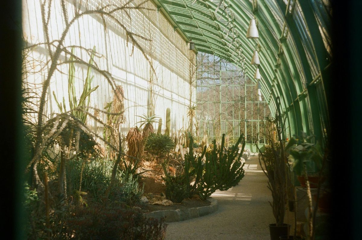 Biodiversity and Reconciliation Ecology