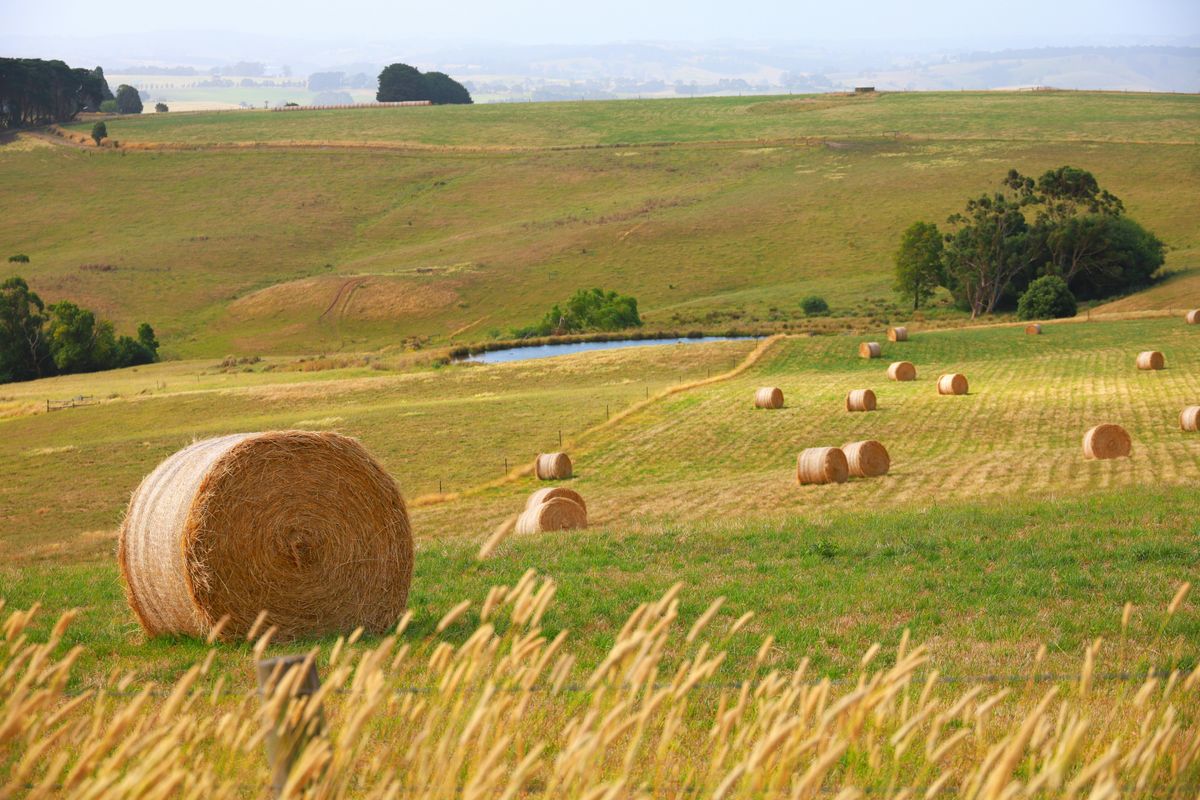 5. Integrate Livestock Grazing