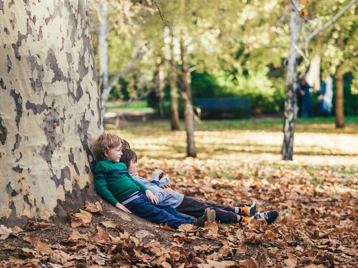 Assessing and Improving Your Green Living Habits