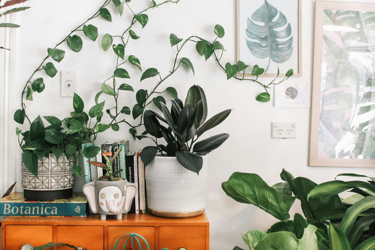 Creating Eco-Friendly Spaces