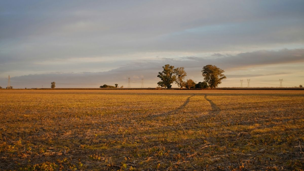 4. Diversify Crop Species